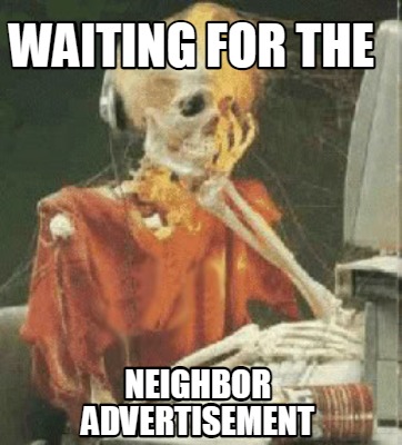 waiting-for-the-neighbor-advertisement