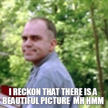 i-reckon-that-there-is-a-beautiful-picture-mh-hmm