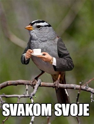 svakom-svoje9