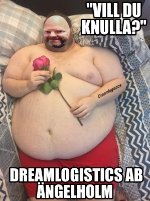 dreamlogistics-ab-ngelholm-vill-du-knulla
