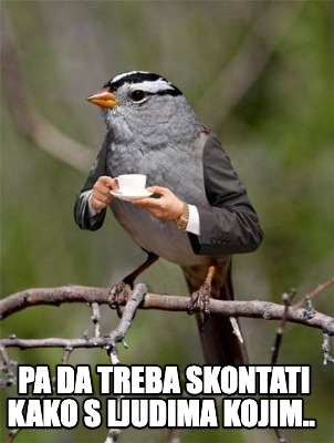 pa-da-treba-skontati-kako-s-ljudima-kojim