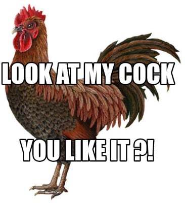 look-at-my-cock-you-like-it-
