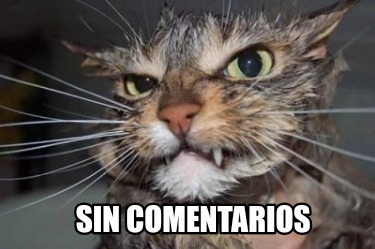 sin-comentarios5