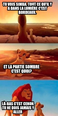 tu-vois-simba-tout-ce-quil-y-a-dans-la-lumire-cest-bordeaux.-l-bas-cest-cenon-tu