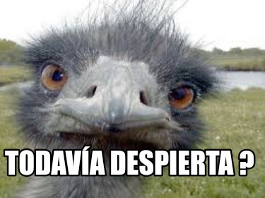 todava-despierta-