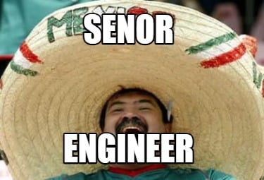 senor-engineer