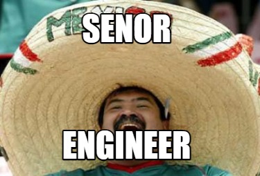 senor-engineer5