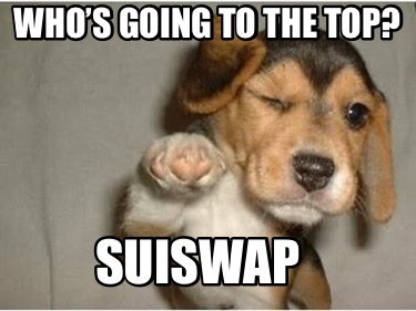 whos-going-to-the-top-suiswap