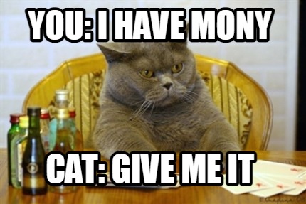 you-i-have-mony-cat-give-me-it