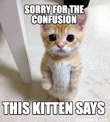 sorry-for-the-confusion-this-kitten-says