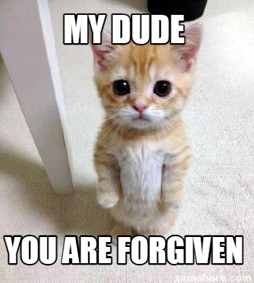 my-dude-you-are-forgiven