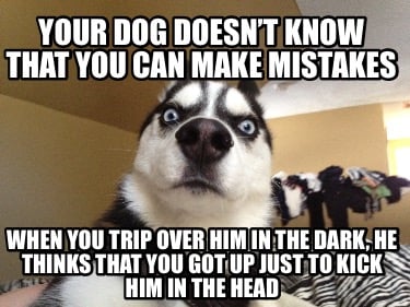 your-dog-doesnt-know-that-you-can-make-mistakes-when-you-trip-over-him-in-the-da