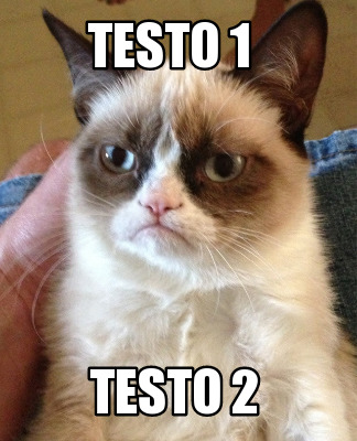 testo-1-testo-23