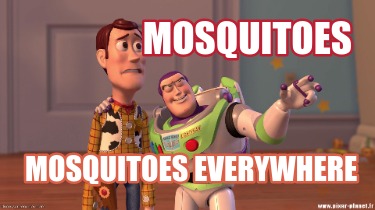 mosquitoes-mosquitoes-everywhere6