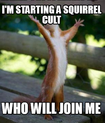 im-starting-a-squirrel-cult-who-will-join-me