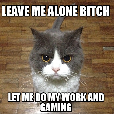 leave-me-alone-bitch-let-me-do-my-work-and-gaming