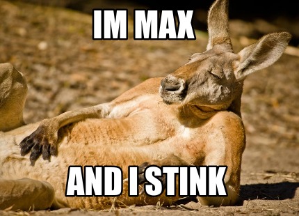 im-max-and-i-stink