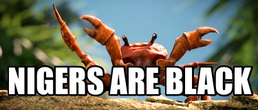 nigers-are-black