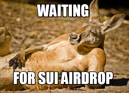 waiting-for-sui-airdrop
