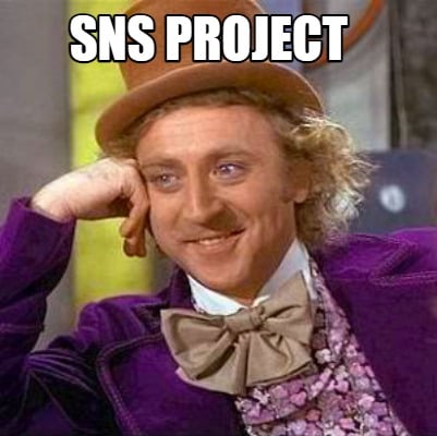 sns-project7