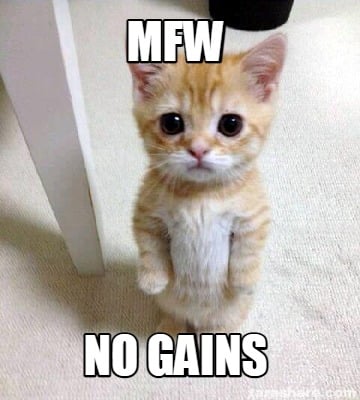 mfw-no-gains