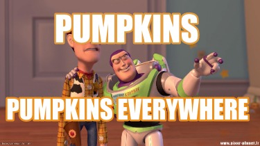 pumpkins-pumpkins-everywhere8