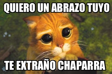 quiero-un-abrazo-tuyo-te-extrao-chaparra1