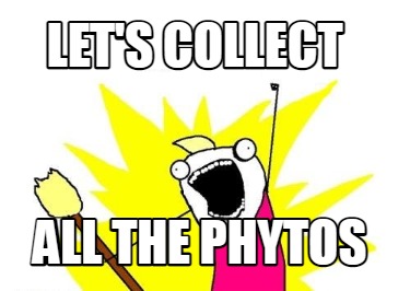 lets-collect-all-the-phytos