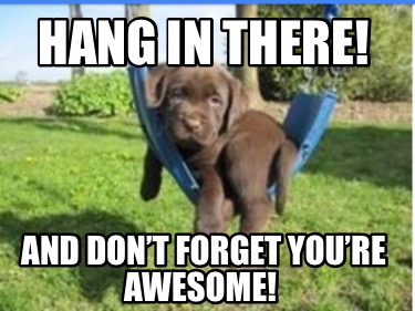 hang-in-there-and-dont-forget-youre-awesome0