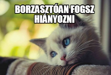 borzasztan-fogsz-hinyozni