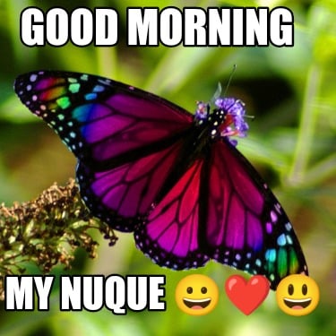 good-morning-my-nuque-6