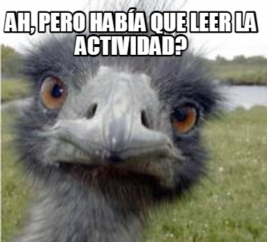 ah-pero-haba-que-leer-la-actividad