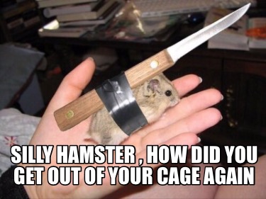 silly-hamster-how-did-you-get-out-of-your-cage-again