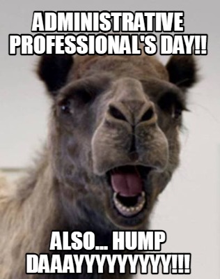 administrative-professionals-day-also...-hump-daaayyyyyyyyy