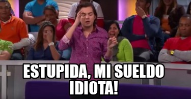 estupida-mi-sueldo-idiota7