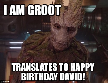 i-am-groot-translates-to-happy-birthday-david