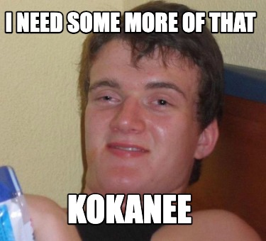 i-need-some-more-of-that-kokanee