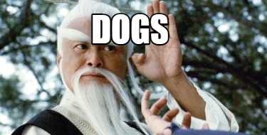 dogs01