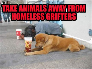 take-animals-away-from-homeless-grifters