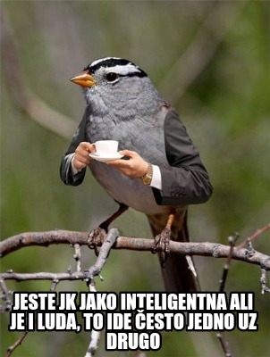 jeste-jk-jako-inteligentna-ali-je-i-luda-to-ide-esto-jedno-uz-drugo