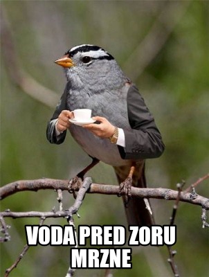 voda-pred-zoru-mrzne