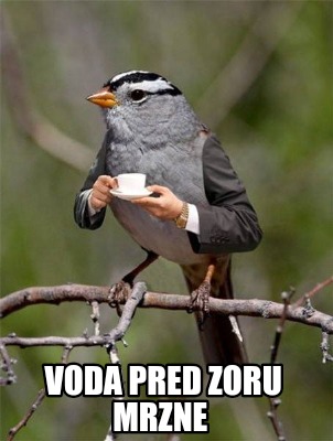 voda-pred-zoru-mrzne9