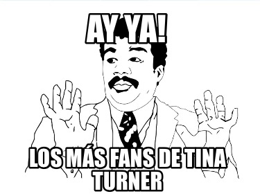 ay-ya-los-ms-fans-de-tina-turner