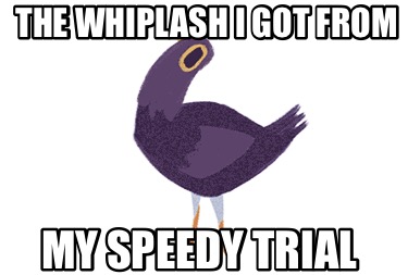 the-whiplash-i-got-from-my-speedy-trial