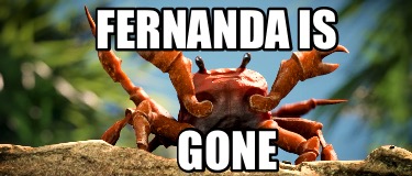 fernanda-is-gone