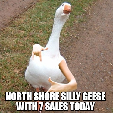 north-shore-silly-geese-with-7-sales-today