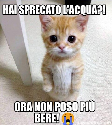 hai-sprecato-lacqua-ora-non-poso-pi-bere-