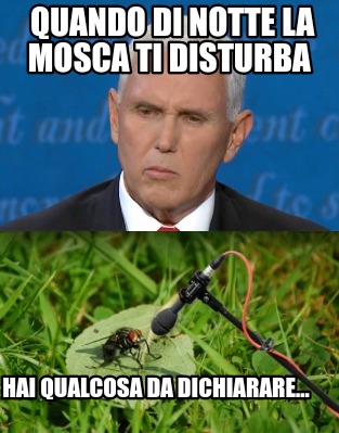 quando-di-notte-la-mosca-ti-disturba-hai-qualcosa-da-dichiarare