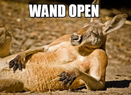 wand-open