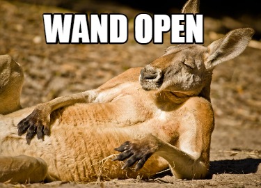 wand-open2